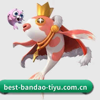 半岛体育 APP